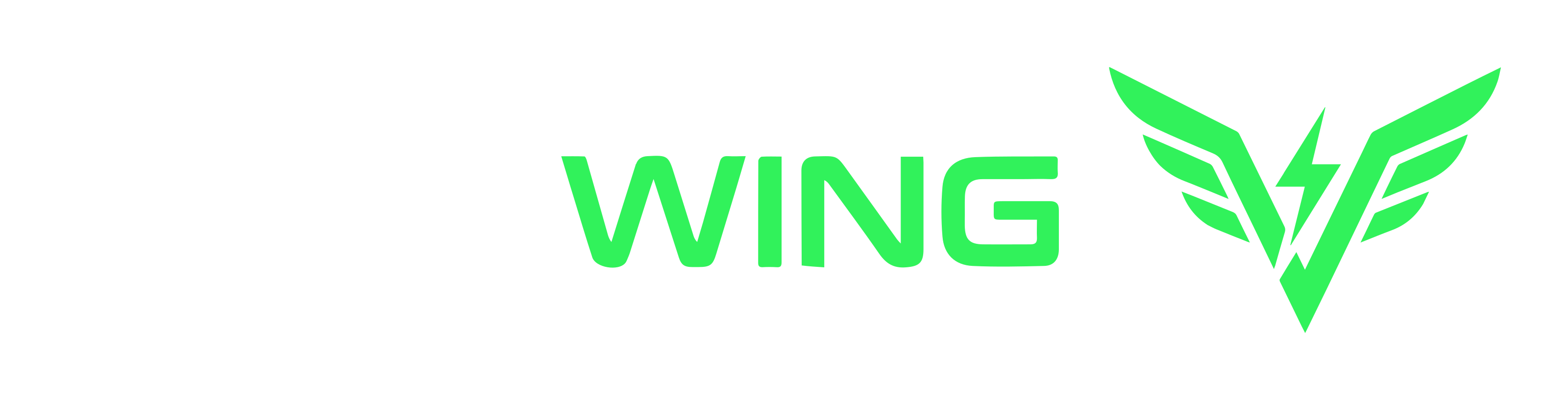 VoltWing Energy